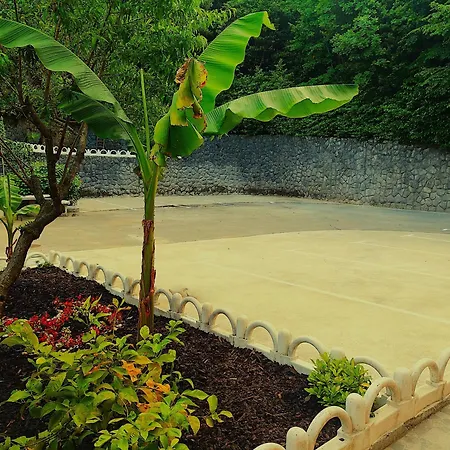 Harbor 3 Apartment *